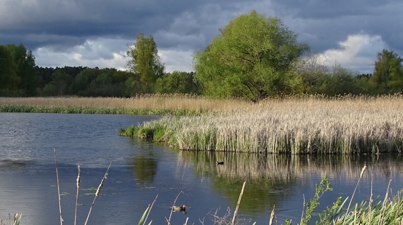 Kleingewässer am Rande des RAMSAR-Gebietes Swidwie-See