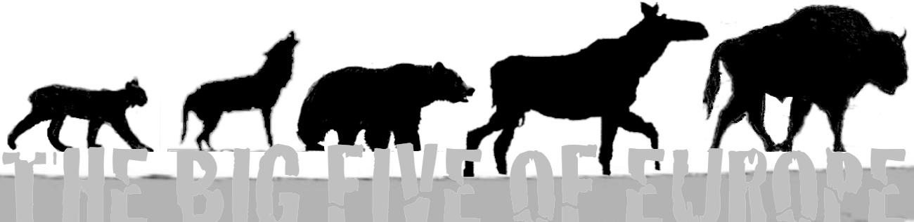 grafic - big five of europe