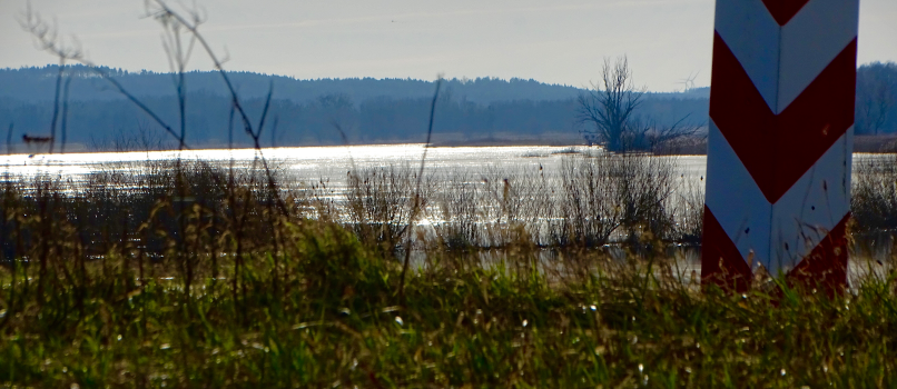 Blick auf die Oder