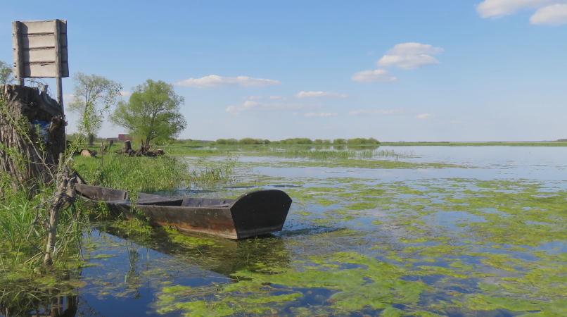 An der Biebrza - Fischerkahn mit überschwemmten Wiesen