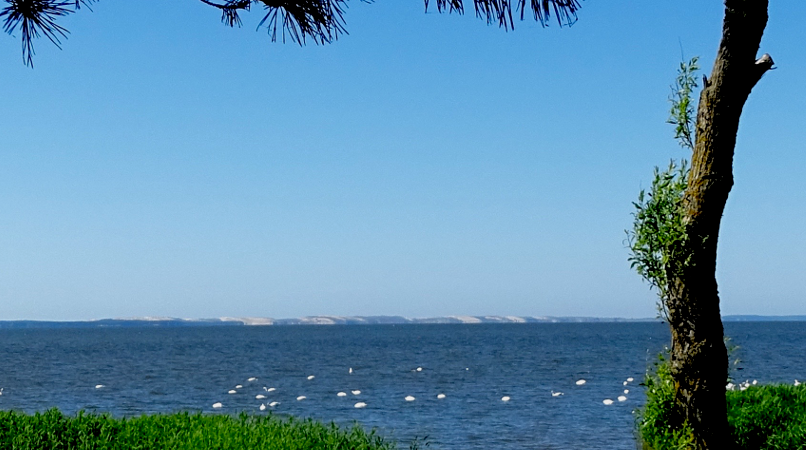 Bick ueber das Haff auf die Kurische Nehrung