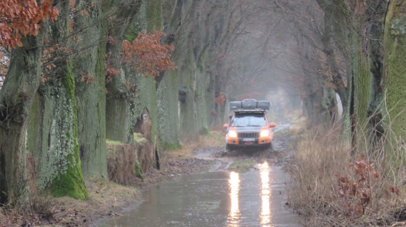 Landcruiser in herbstlicher Allee