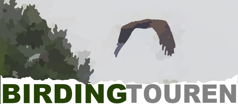 Vogelkundliche Reisen und Touren